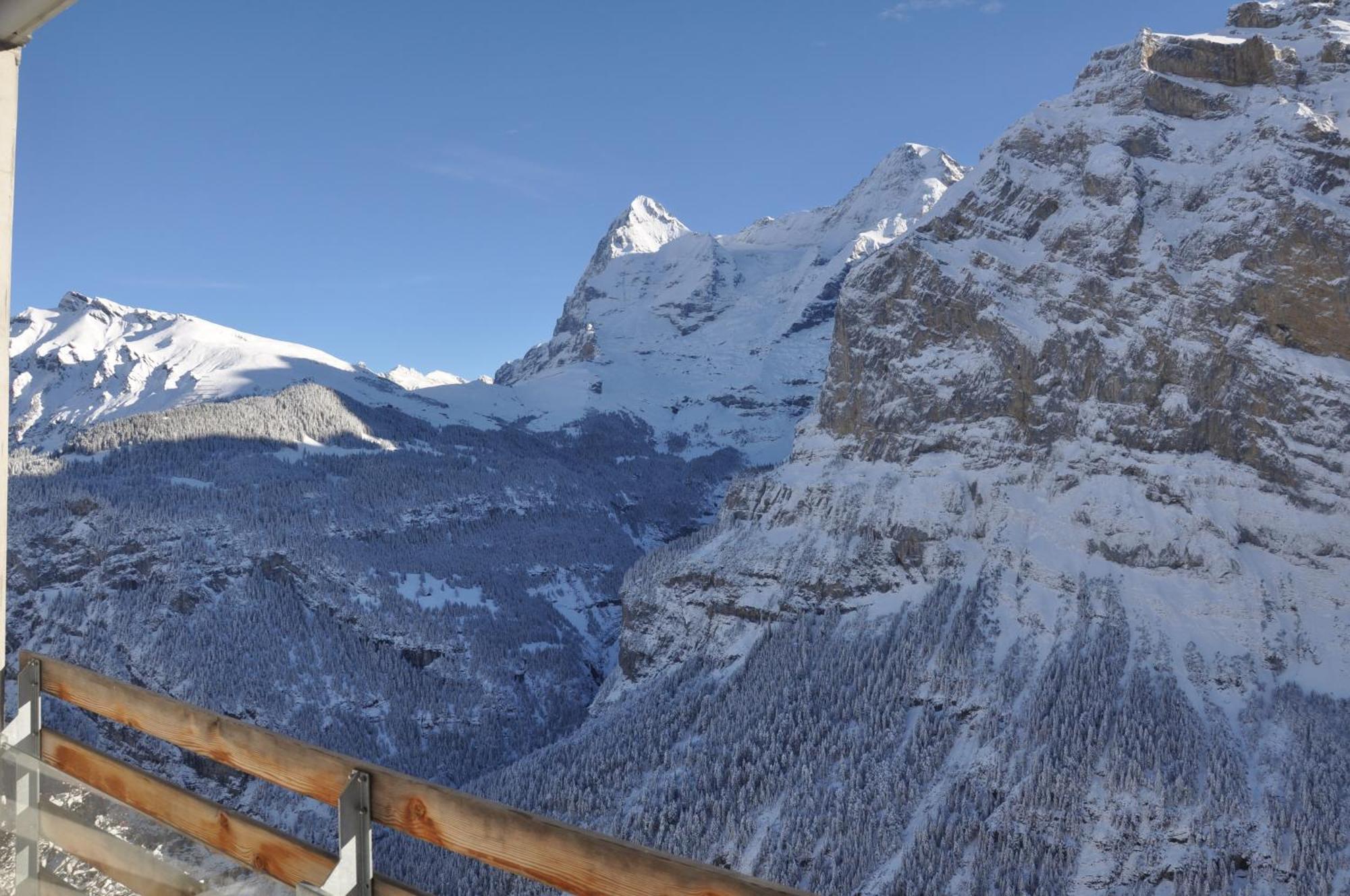 Hotel Edelweiss Superior Murren Room photo